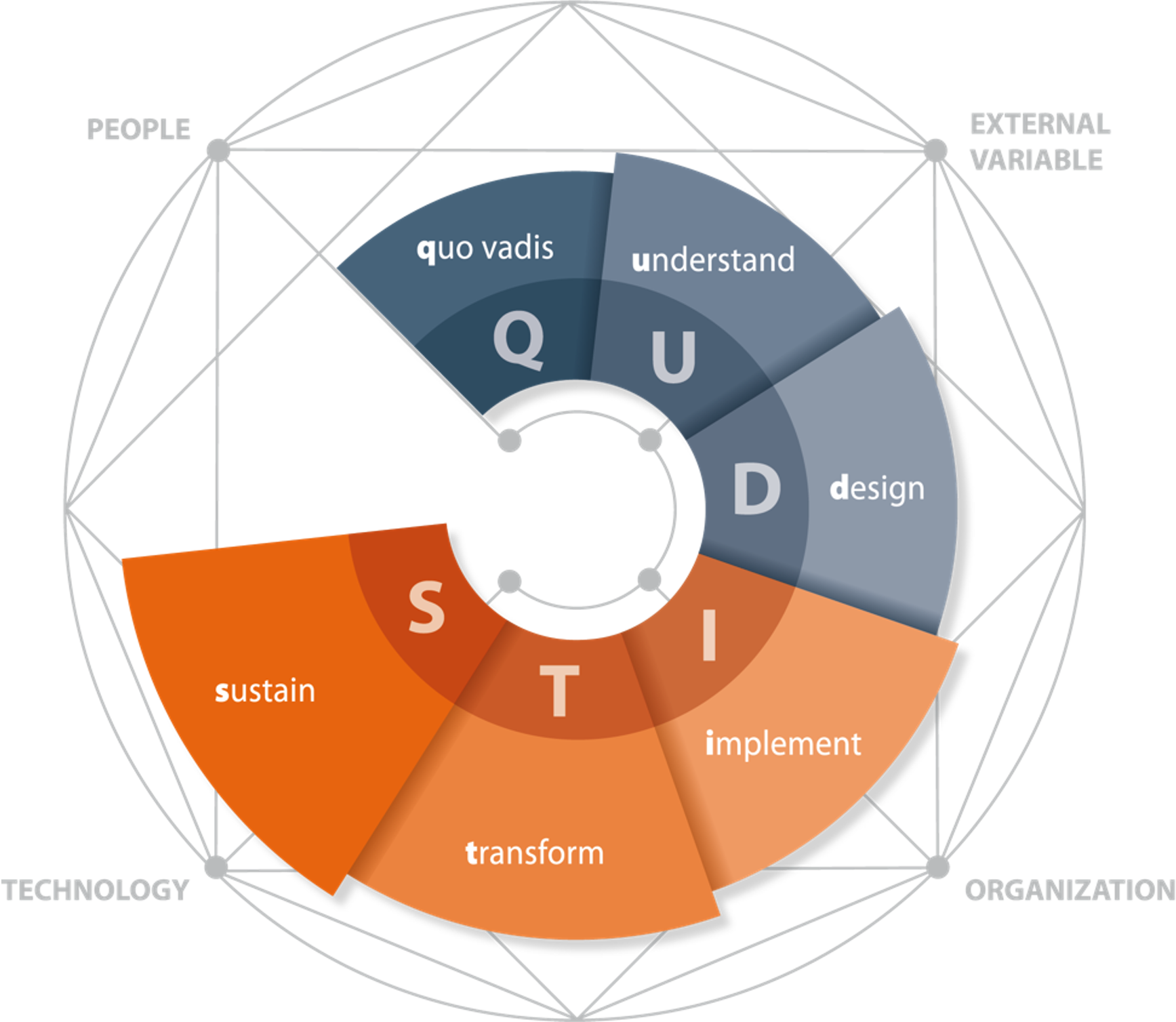 QUDITS Vorgehensmodell: quo vadis, understand, design, implement, transform, sustain